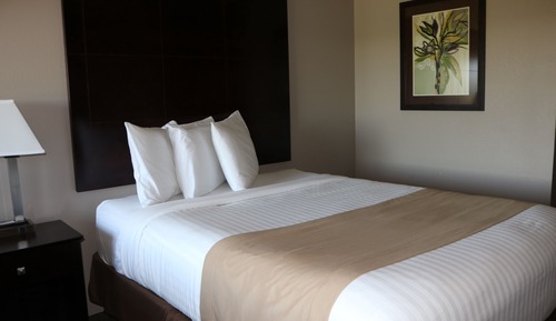 Standard Room, 1 King Bed