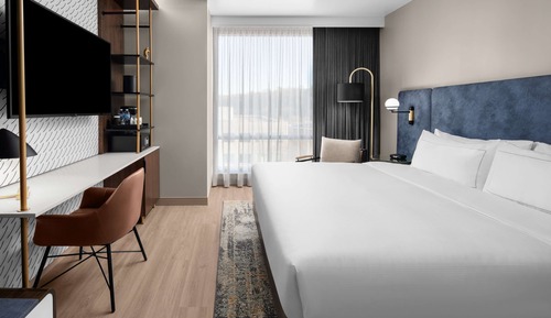 Room, 1 King Bed, Accessible (Hearing)