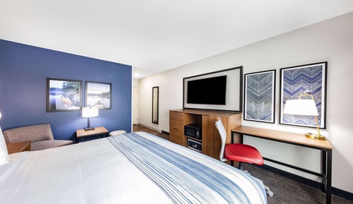 Room, 1 King Bed, Non Smoking
