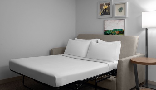 Studio, 1 King Bed (Hearing Accessible)