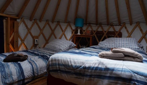 4 Person Yurt, Shared Bathroom, Starfish Studio, Yurt Village Location