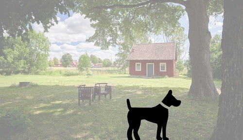 Dog Friendly Cabin