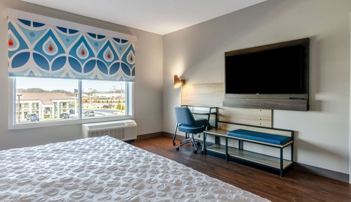 Room, 1 King Bed, Accessible (Mobility, Hearing, Roll-In Shower)