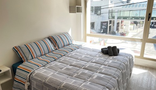 City Studio Suite