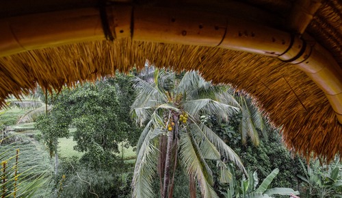 Bamboo Birdsnest Level 1 Sleeping Pod