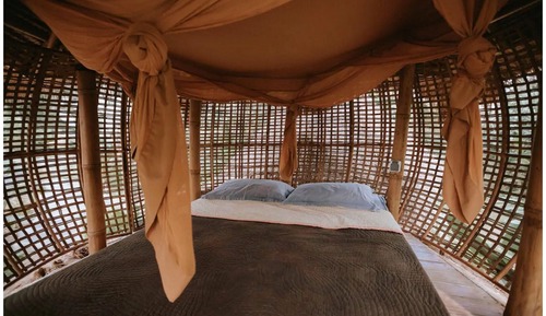 Bamboo Birdsnest Level 2 Sleeping Pod