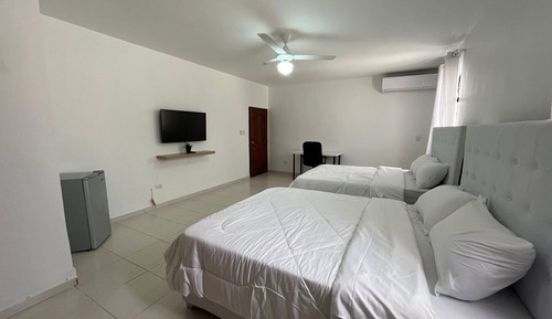 Executive Twin Room