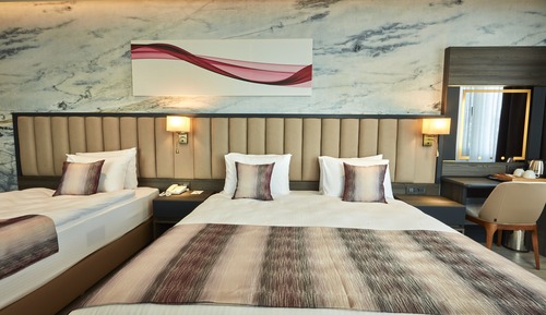 Standard Room (1 French Bed, 1 Extra Bed)