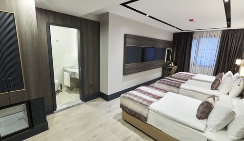 Standard Room, 3 Twin Beds