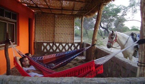 Basic Cabin, Multiple Beds, Smoking, Garden View