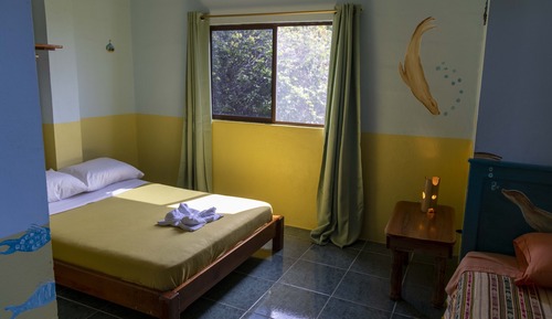 Basic Double or Twin Room