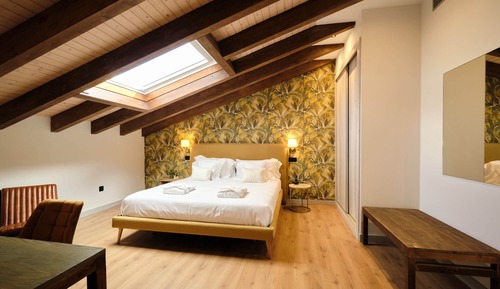 Premium Double Room