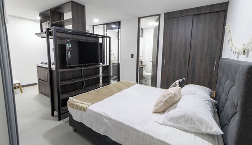 Basic   Apartment 102