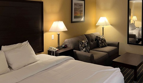 Standard Room, 1 King Bed with Sofa bed, Non Smoking