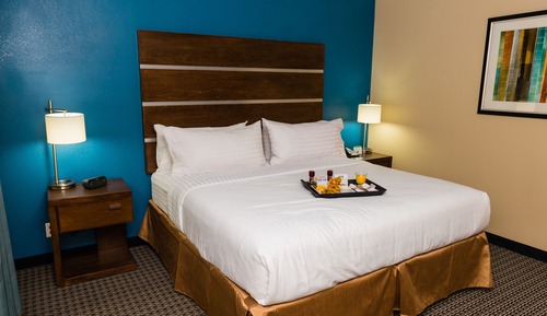 Standard Room, 1 King Bed, Accessible (Comm, Access Tub)
