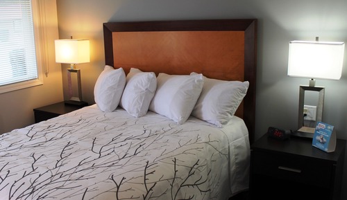 Comfort Single Room Pet Friendly