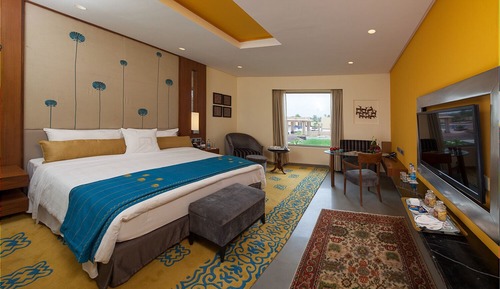 Deluxe Room, 1 Queen Bed (Deluxe Room)
