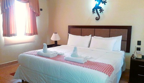 Room, 1 King Bed, Non Smoking