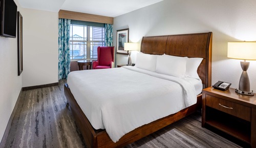 Suite, 1 King Bed