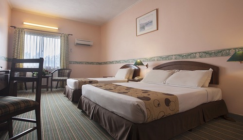 Family Room (3 Persons)