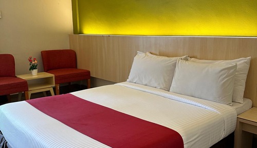 Standard Double Room Single Use, 1 Queen Bed