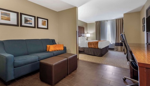 Deluxe Suite, 1 King Bed with Sofa bed, Non Smoking