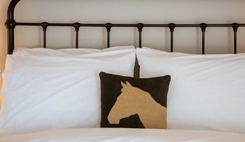 Deluxe Double Room, Ensuite (The Smithy)