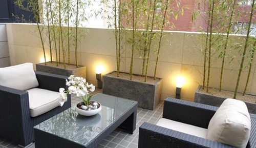 Suite, Terrace