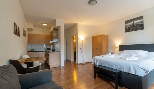 Deluxe Studio, 1 Queen Bed, Non Smoking, City View
