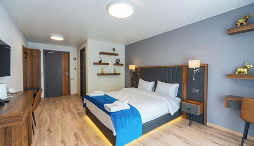 Economy Double Room, Non Smoking