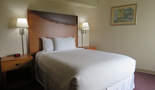 Single Room, 1 Queen Bed