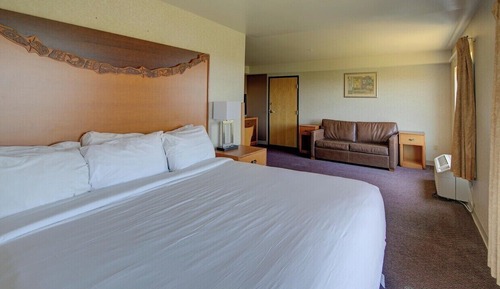 Single Room, 1 King Bed