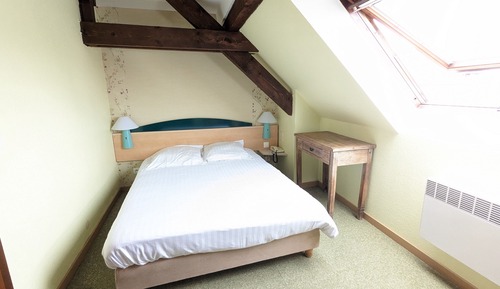 Basic Double Room