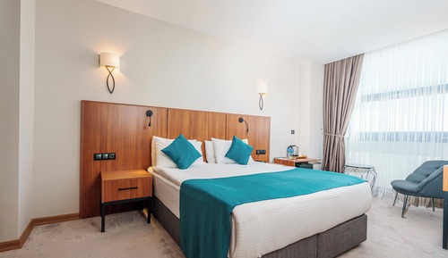 Deluxe Room, Mountain View