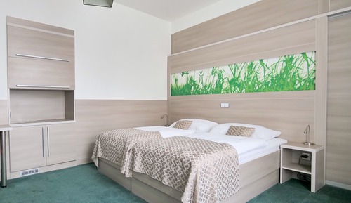 Romantic Double or Twin Room