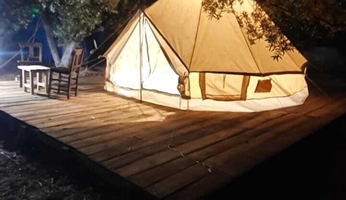 Standard Tent
