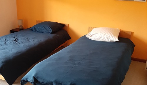 Basic Twin Room