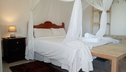 Basic Double Room