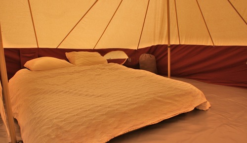 Basic Tent