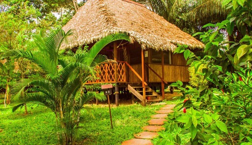 Business Cabin