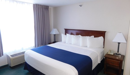 Single King Bed-Suite With pull out sofa - Non-Smoking