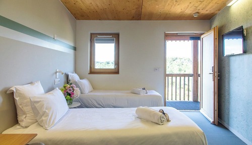 Premium Twin Room
