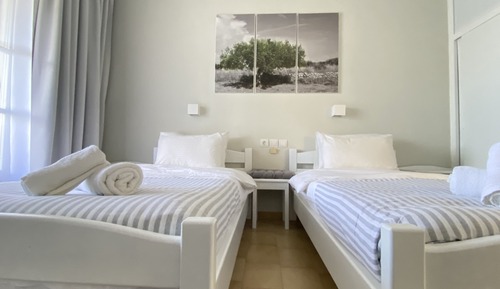 Basic Apartment