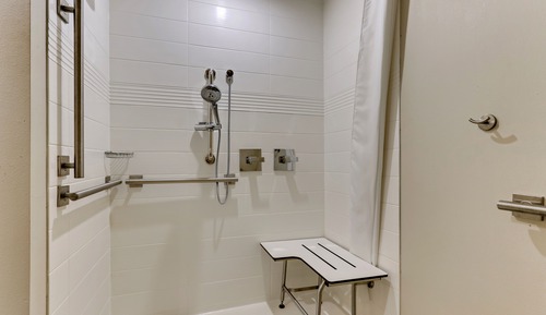 Studio, 1 King Bed with Sofa bed (Mobility Accessible, Roll-In Shower)