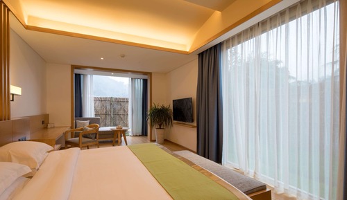 Room, 1 King Bed, Smoking