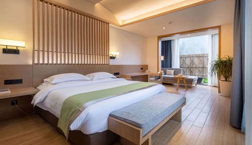 Room, 1 King Bed, Non Smoking