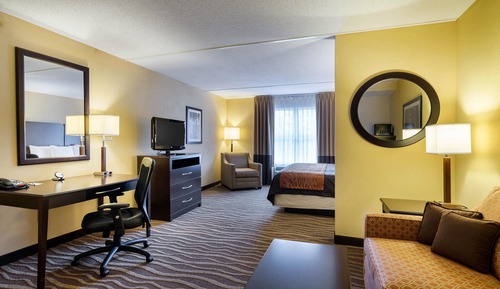 Standard Room, 1 King Bed with Sofa bed