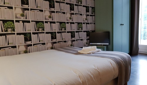 Standard Double Room Single Use