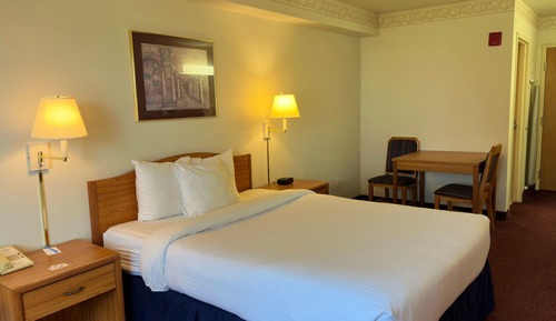 Standard Single Room, 1 Queen Bed, Non Smoking