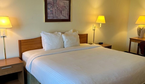 Standard Single Room, 1 King Bed, Non Smoking